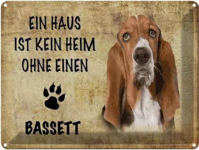 Produktbild von vianmo Blechschild 30x40 cm Bassett Hund ohne kein Heim