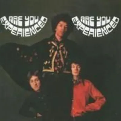 Produktbild von Are You Experienced?