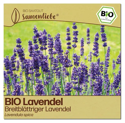 Produktbild von Samenliebe  Lavendel Samen | Breitblättriger Lavendel - winterhart & mehrjährig - samenfestes  Saatgut