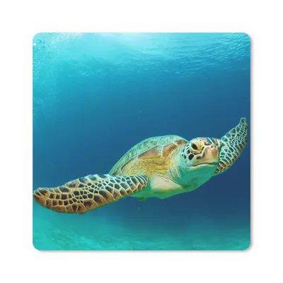 Produktbild von MuchoWow® Mauspad Mousepad Nahaufnahme einer Grünen Meeresschildkröte 20x20 cm - Mousepads - Maus Mat - Pad - Mausunterlage - Desk Mat - Bureauartikeln