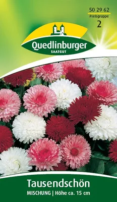 Produktbild von Quedlinburger Saatgut - Tausendschön Mischung - Samen - 502962
