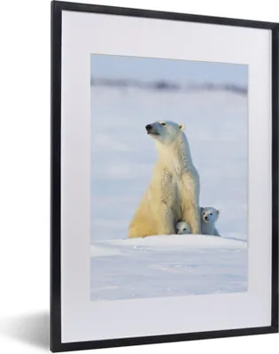 Produktbild von MuchoWow® MuchoWow® Gerahmtes Poster Eisbär - Schnee - Jungtiere 30x40 cm - Poster mit zchwarzem Bilderrahmen - Wandposter Schlafzimmer