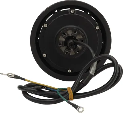 Zdjęcie produktu dla Silnik piasty hamulca tarczowego 10 cali 800 do 2200 W bezszczotkowe koło do motocykla elektrycznego skutera rowerowego 48 72 V