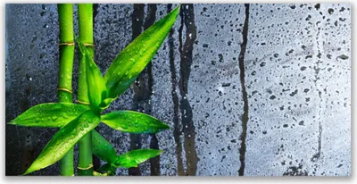 Produktbild von Tulup Leinwand-Bilder 140x70 Wandbild Canvas Kunstdruck Bambusrohre Pflanzen