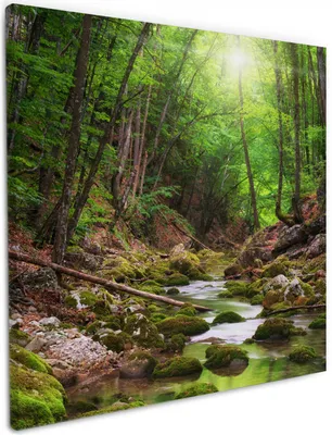 Produktbild von Wallario Premium Leinwandbild Fluss im Wald in Größe 50 x 50 cm
