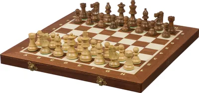 Image de Jeu d'échecs de tournoi français Staunton Gold n°4 (42x42cm)