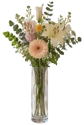 Produktbild von Vase zylinderisch H26cm 'Flora