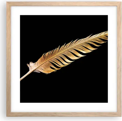 Produktbild von Gerahmtes Poster - Rahmen in heller Eiche - Golden Feder Schwarz - 40x40 cm - Wand Bild - Wanddeko - Wandbilder - Kunstposter - Wandposter - Bilderrahmen - Bilder - Kunstdruck - P2NAC40x40-4887