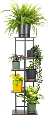 A multi-tiered metal plant stand with seven potted plants.