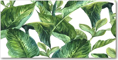 Produktbild von Tulup Glas-Bild -140x70- Wandkunst Dekorative Wand für Küche & Wohnzimmer - Blumen & Pflanzen - Blätter - Grün