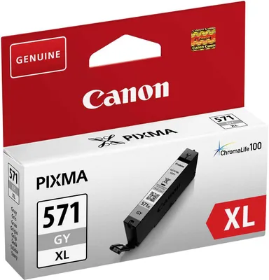 Obrázek produktu pro Canon 0335C001, Vysoká (XL) výtěžnost, Šedá, Inkoust na pigmentové bázi, 11 ml, 1 kusů, 289 str.