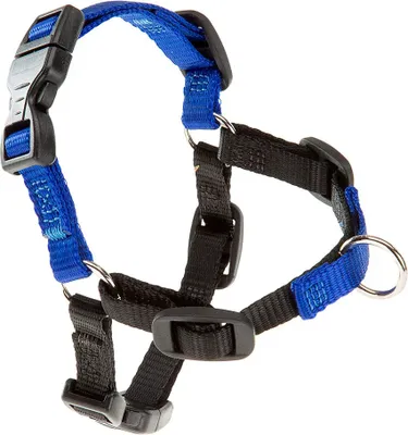 Immagine prodotto di Ferplast Harnes Coach P S M Blau