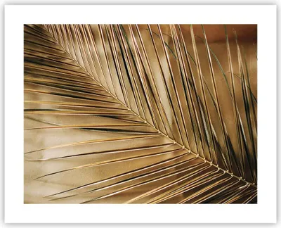Produktbild von Poster - Poster ohne Rahmen - Blatt Gold Pflanze - 50x40 cm - Wand Bild - Wanddeko - Wandbilder - Kunstposter - Wandposter - Bilder - Kunstdruck - Wanddekoration - Wandbild - P2XAA50x40-5041