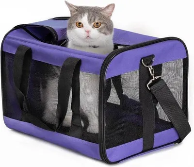 Produktbild von Famanu Transportbox für kleine Haustiere - Faltbar, Fluggesellschaft genehmigt - Größe M