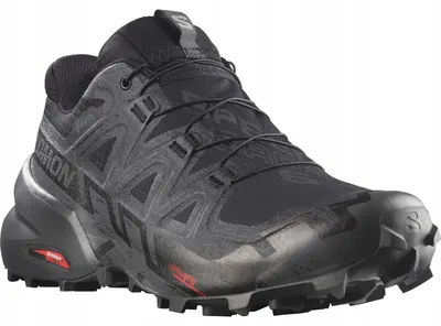 Image de Chaussures de trail Salomon Speedcross 6 20 Years Q2 - castlerock/asphalt, taille 45,5