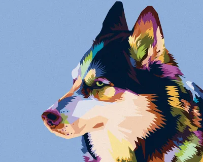 Produktbild von Diamondi - Diamond painting - BUNTER HUSKY, 40X50 cm, mit Keilrahmen (bereits gespannt)