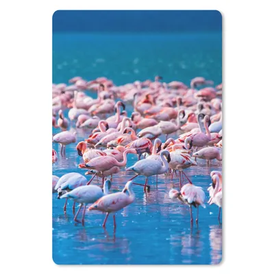 Produktbild von MuchoWow® Mauspad Mousepad Flamingo - Wasser - Tropisch - Rosa 18x27 cm - Mousepads - Maus Mat - Pad - Mausunterlage