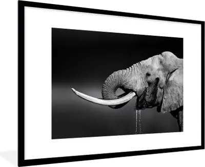Produktbild von MuchoWow® Gerahmtes Poster Elefant - Wasser - Tiere - Schwarz - Weiß 90x60 cm - Poster mit Schwarzem Bilderrahmen Wandposter Rahmen Foto Bilder - Wanddekoration - Fotos