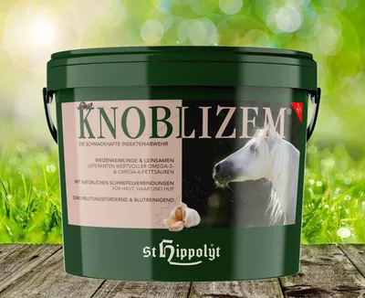 Produktbild von St. Hippolyt Knoblizem | 10 kg
