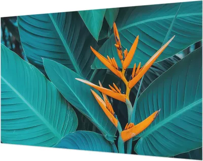 Zdjęcie produktu dla Tapeta ścienna – tapeta dekoracyjna do salonu – folia tapetowa do dekoracji ścian – 104 x 70 cm – kwiaty na liściach
