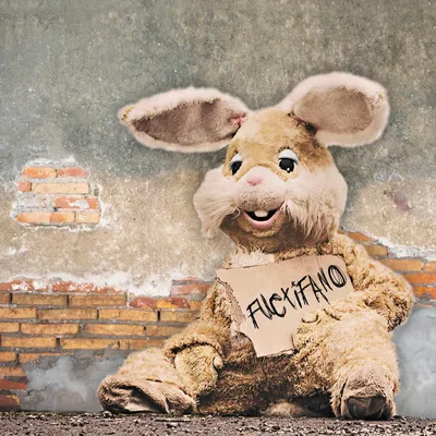 Produktbild von Fuctifano