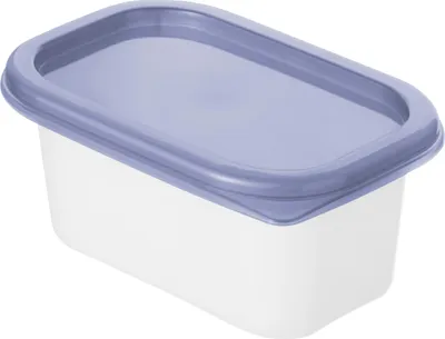 Produktbild von Rotho Gefrierdosen-Set Domino 4 x 0,2 l horizon blau