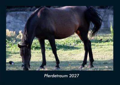 Produktbild von Pferdetraum 2027 Fotokalender DIN A4