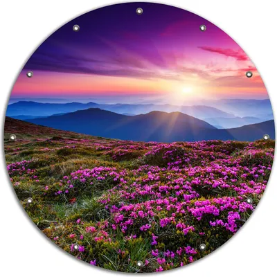 Produktbild von Wallario rundes Outdoor-Poster für Garten oder Balkon, Motiv Blumenbedeckte Wiese bei Sonnenuntergang, 90 cm Durchmesser