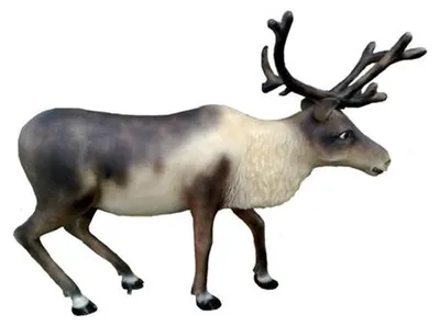 Produktbild von Designer Rentier Deko Tier Figur Winterdeko Höhe 160x200 cm Elch Dekoration