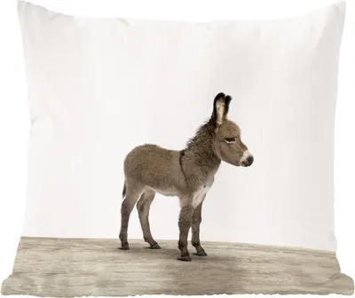 Produktbild von MuchoWow® Zierkissen Sofakissen Wohnzimmer Dekokissen 60x60 cm Tiere - Esel - Grau - Sitzfläche - Foto Polster