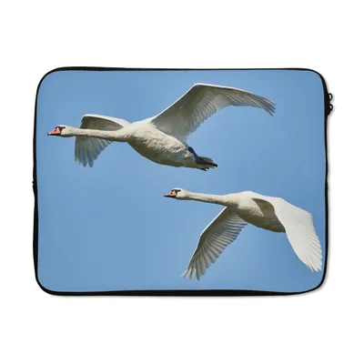 Produktbild von MuchoWow® Laptop Hülle 15 Zoll Schwan - Vogel - Himmel - Blau Laptoptasche - Laptoptasche - Sleeve - Rundum-Schutz