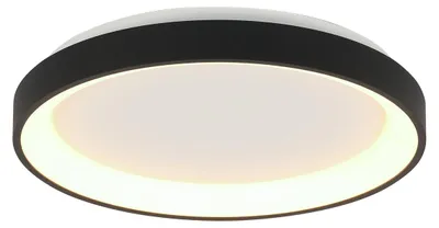 Obrázek produktu pro Stropní svítidlo - černá - Ringlede -  plast kov - Ø 38cm - LED - 3691ZW - Steinhauer