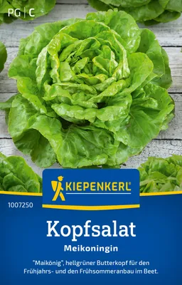 Produktbild von Kiepenkerl Kopfsalatsamen Meikoningin Lactuca sativa 300 Pflanzen