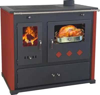 A wood-burning stove with a turkey roasting in the oven and a fire burning in the firebox.