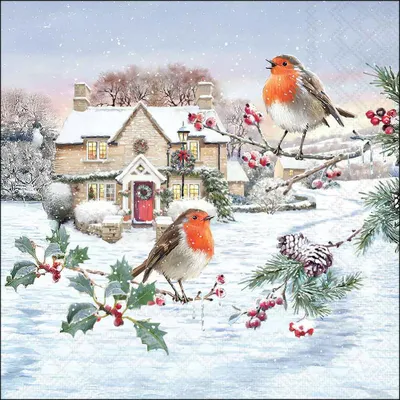 Produktbild von 20 Servietten Birdy Village - Rotkehlchen an Winterhaus 33x33cm