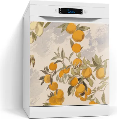 Produktbild von DEQORI Magnetmatte Spülmaschine beschreibbar 60x60 cm 'Orangenpracht' Magnetfolie