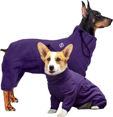 Produktbild von Hundebademantel aus Frottee für kleine Hunde