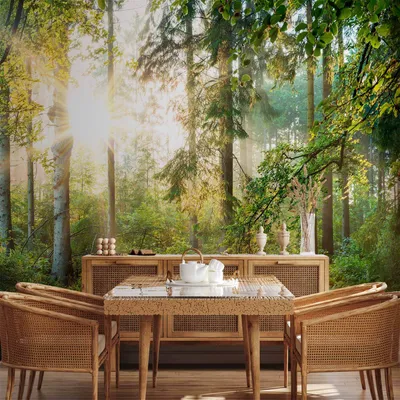 Produktbild von Vlies Fototapete - Untamed Nature 250x175 cm Landschaften c-C-0032-a-b