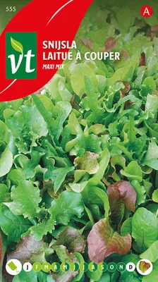 Immagine prodotto di Semi di lattuga Lettuce Maxi Mix - Circa 4 gr | VT_555