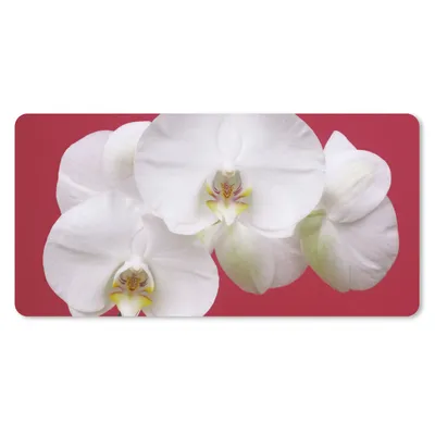 Produktbild von MuchoWow® Schreibtischunterlage Weiße Orchidee auf Rot 80x40 cm - XXL Mauspad - Gaming Mauspad