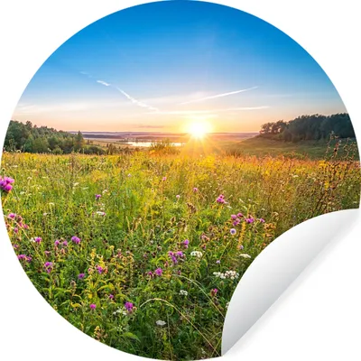 Produktbild von MuchoWow® Runde Wandtattoo - Wandsticker Tapete Aufkleber Sonne - Gras - Blumen Ø 100 cm Selbstklebend und Repositionierbar - Wandaufkleber - Kreis - Tapetenkreis - Wandbild rund - Schlafzimmerdekoration - Wanddeko - runde Tapete - Kunst für zu Hause