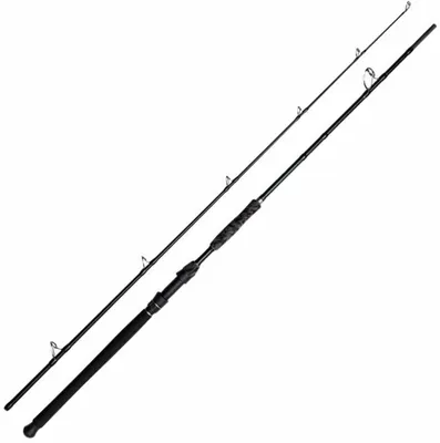 Produktbild von MADCAT Black Deluxe Angelrute 2,95 m 100 - 250 g 2 Teile