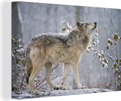 Produktbild von OneMillionCanvasses® - Leinwandbilder - 150x100 cm, Wolf - Schnee - Winter, Wandbilder Kunstdruck Wanddekoration