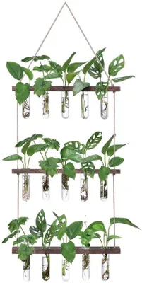 Image de Petits pots en verre pour culture hydroponique, lot de 3 pour boutures et plantes d'intérieur