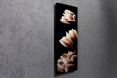 Produktbild von Wallity, PC006- MJS1275, Bunt, Leinwandbilder, 30 x 80 cm, 100% Leinwand