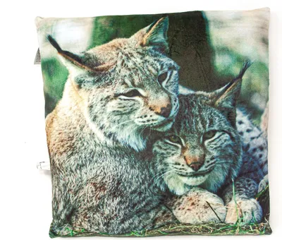 Produktbild von Stoffkissen - Luchse - 35x35