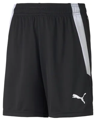 Immagine prodotto di Pantaloni Puma Teamliga 70493103
