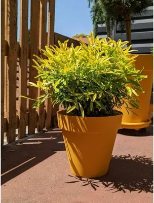 Produktbild von Dekoratívna váza, RIVIERA, kitrino, 60cm