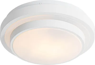 A white ceiling light with a frosted glass diffuser.