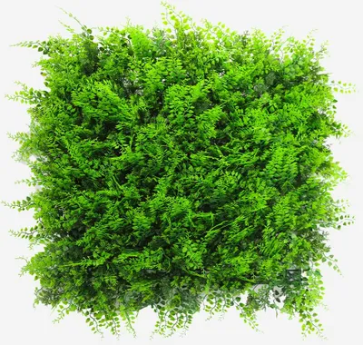 Produktbild von Künstlicher Zaun 50x50cm Kunstfarn 3D Garten Balkon Pritus